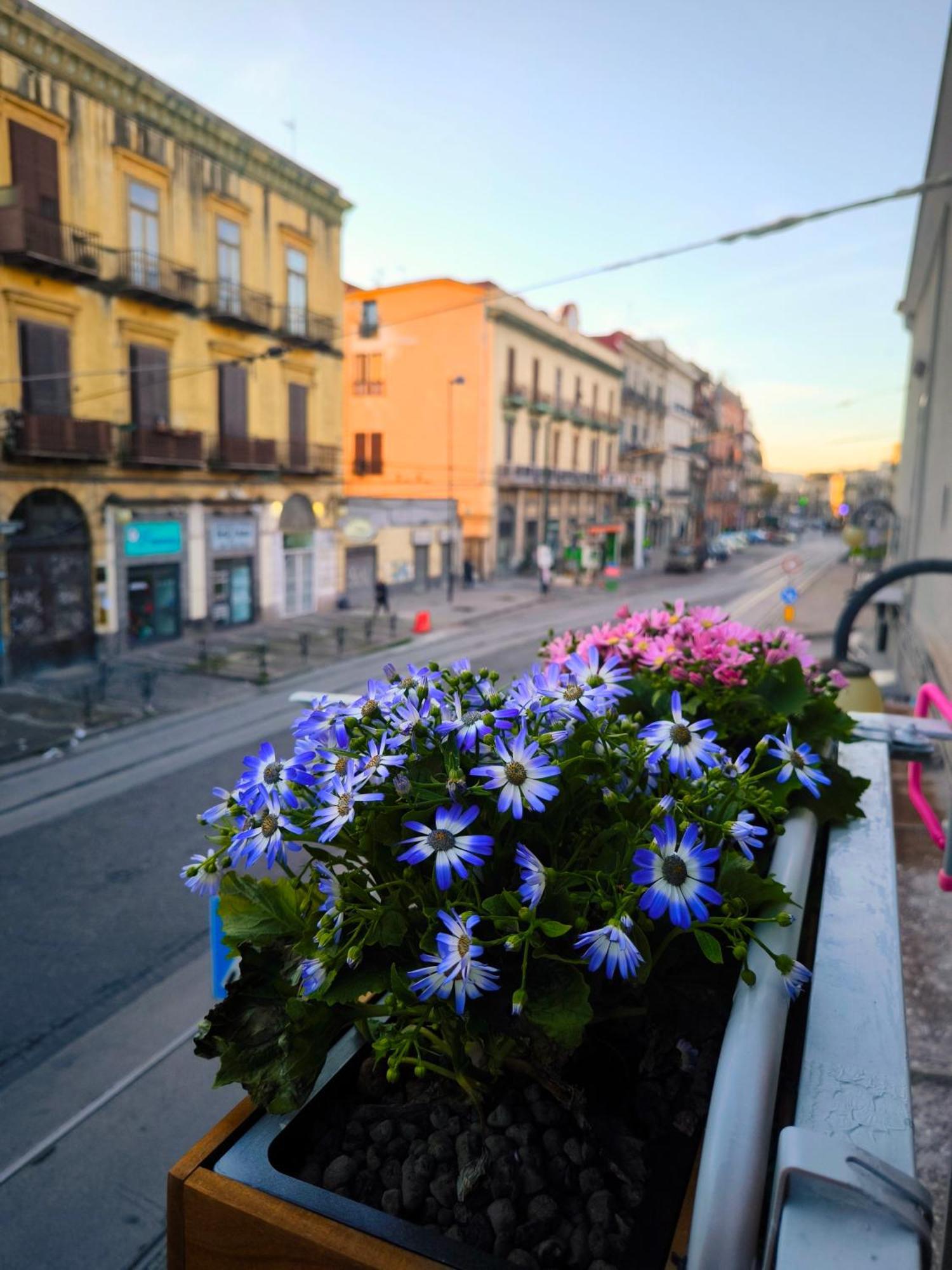 Casamira B&B Napoli Centrale Exteriör bild